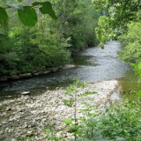 1208F 035 am jungen Neckar